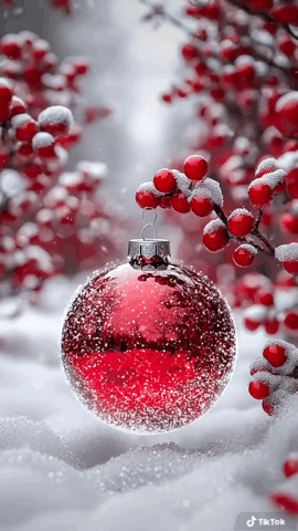 Wesołych Świąt 🌲